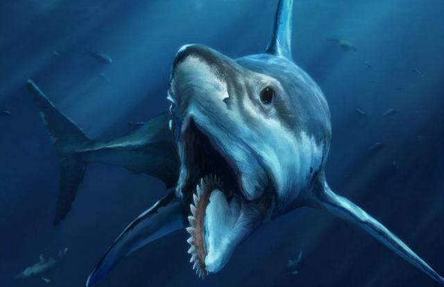 世界上最厉害的鲨鱼的图片和名字，世界上最厉害的鲨鱼的图片视频？